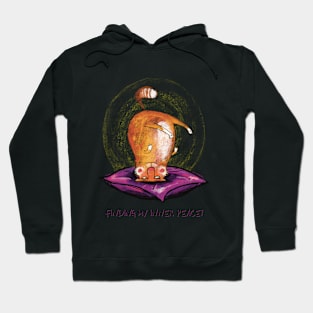 Funny orange, ginger, Cat trying to find inner peace with yoga Hoodie